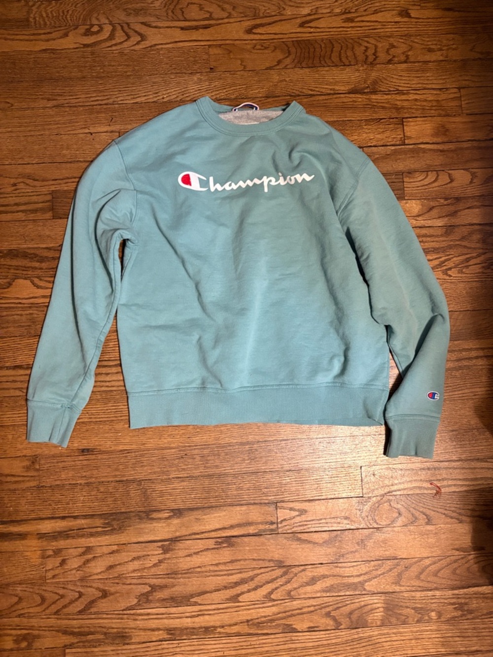 Champion crewneck sweatshirt featuring an embroidered script logo on the front.